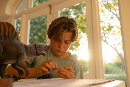 12 year old boy playing with model dinosaur at home at sunset