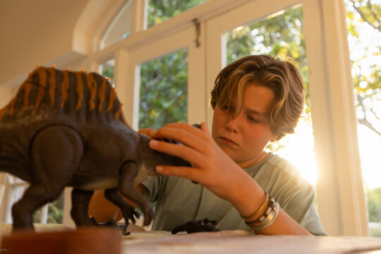 12 year old boy playing with model dinosaur at home at sunset