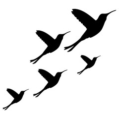 Flying Hummingbird Silhouette Set © Perspectiva