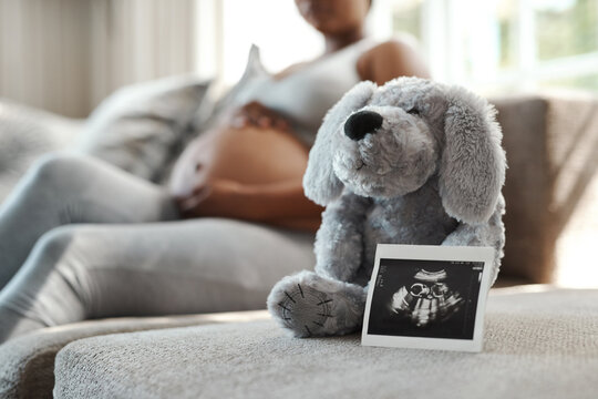 Pregnant, teddy or ultrasound in house with expecting, prenatal screening or parenthood with scan results. Love, fertility or woman with sonogram, motherhood or fetal development in maternal care.