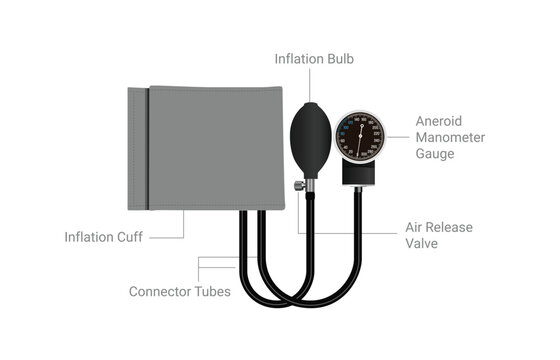 Realistic vector illustration of manual blood pressure monitor with labeled parts for medical education