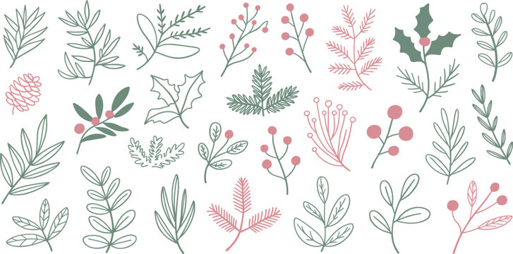 Winter botanical illustration set with pine branches berries and evergreen leaves isolated on white background vector