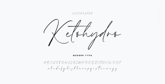 Hand drawn vector alphabet. Modern monoline signature script font. Elegant Signature Font. Best Alphabet Beautiful Calligraphy Signature Font