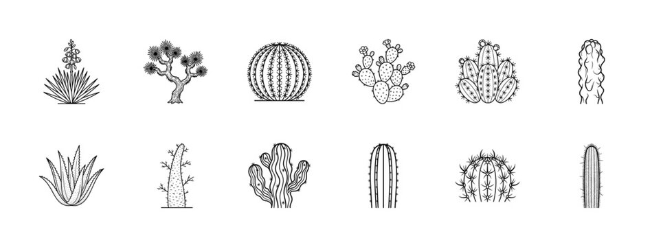 Monoline Cactus and Succulent Design Kit
