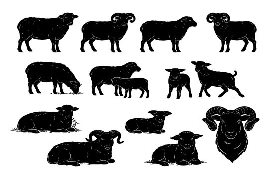Silhouette set of rams, sheep, and lambs in various poses.