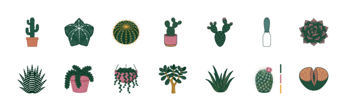 Cactus and Succulent Garden Asset Sheet