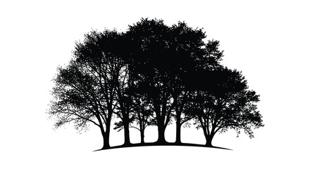 A group of trees against a white background striking silhouette © design creation