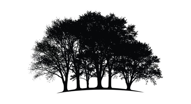 A group of trees against a white background striking silhouette