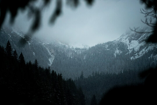 Zakopane snowstorm covering the Tatra mountains in deep white
