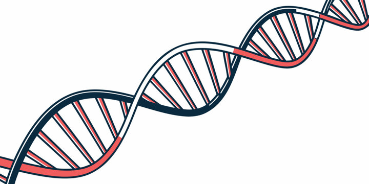 Dna helix strand with red highlighted base pair segments illustrating genetic mutation or analysis genetics mutation molecule biotechnology research structure blueprint analysis