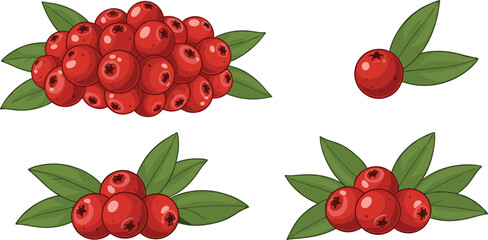 Flat vector red berry collection with green leaves cranberry fruit botanical elements fresh organic food illustration set isolated on light background © MstGulzan