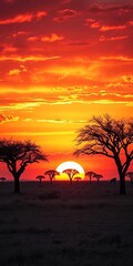 Obraz premium Vast savanna under a fiery sunset, acacia trees silhouetted against a painted sky, open space, sky