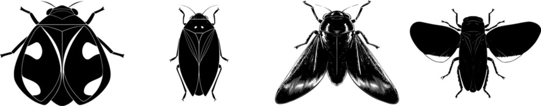 A symmetrical froghopper insect top view, bold solid black shape with perfect crisp contours against a pure white background in minimalist flat vector art