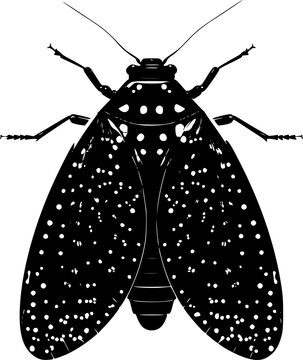 A symmetrical lanternfly with a bold black nose cone stands against a pristine white background, showcasing crisp contours and flawless sharp edges in minimalist flat vector art
