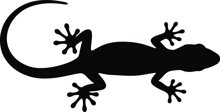 Black Silhouette of a Gecko Lizard vector illustration