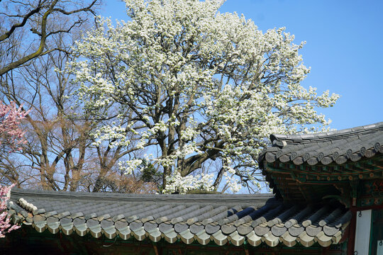 101 / 3000발음듣기복사하기필기인식기번역하기
