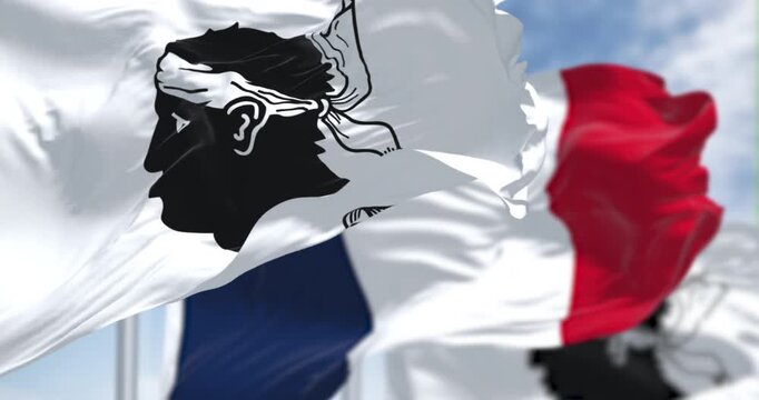 Flags of Corsica waving with national french flag on a clear day. Black Moor head with a white bandana on a white field. French region. Seamless 3d render animation. Slow motion loop. Selective focus