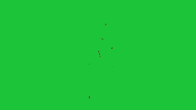 Red liquid splatter spreading and dripping on green screen background abstract fluid splash effect animation