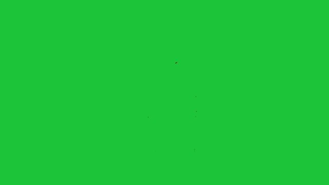 red liquid splatter swirling motion on green screen chroma key abstract drip effect isolated background clip