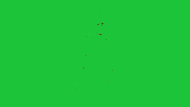 red liquid splatter spreading diagonally on green screen chroma key abstract dripping effect isolated background