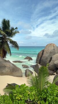 Beautiful Beach with granite boulders and palm trees at Carana Beach, Mahe, Seychelles 30fps, Vertical video