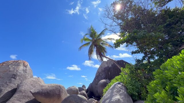Cinematic tilt-down of granite boulders and palm trees at Carana Beach, Mahe, Seychelles 30fps