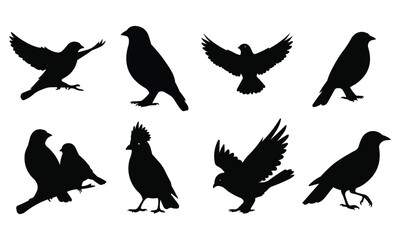 Fototapeta premium Set of 8 Vector Bird Silhouettes - Flying and Perching Black Bird Icons