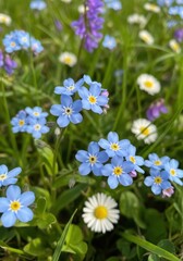 Obraz premium Blue Flowers and White Daisies in Lush Green Meadow Under Sunlight