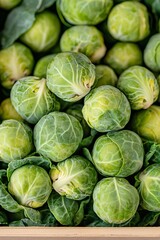 Fototapeta premium Bountiful Harvest of Fresh Green Brussels Sprouts with Unique Leaf Veins and Compact Heads Displayed