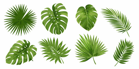 Collection of vibrant tropical leaves against a clean white background © Titul