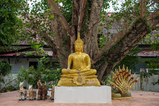 THAILAND PHUKET ISLAND KATA TOWN WAT KITTISANGKARAM