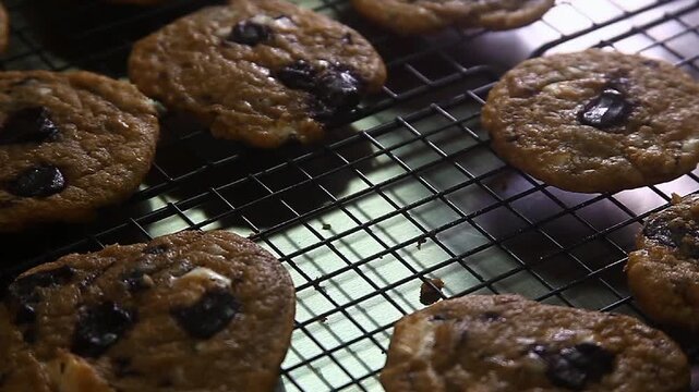 Freshly Baked Chocolate Chip Cookies