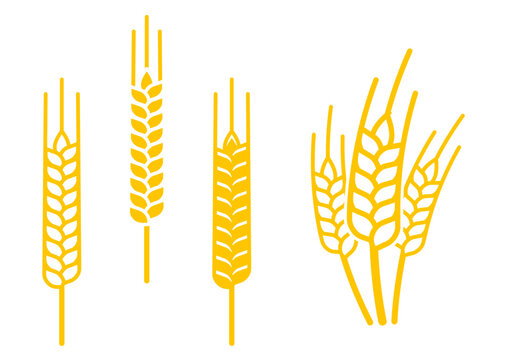 various simple wheat ears logo symbol icon set vector on transparent background