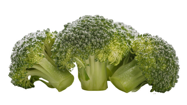 Fresh green broccoli florets with thick stems, isolated on transparent background