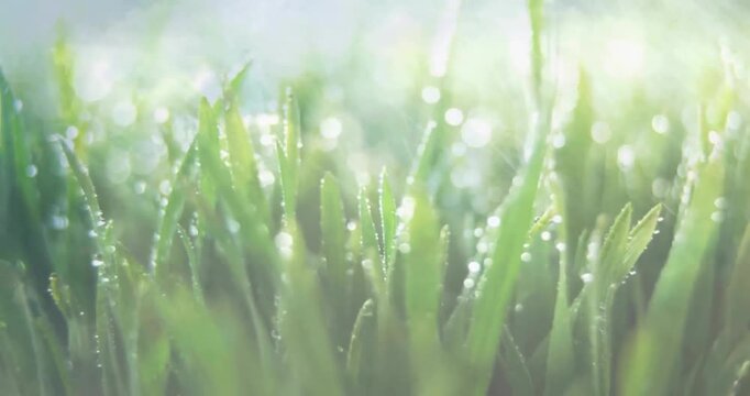Animation of close up of waterdrops over grass