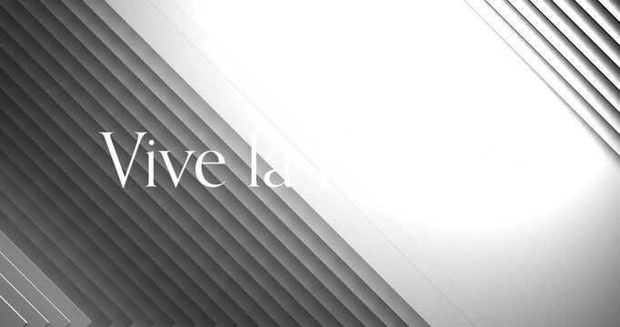 Vive la text animation over grayscale layered geometric background