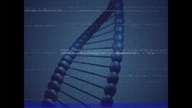 Double helix rotating and drifting upward after glitch pulse, tightening coil, revealing lower end