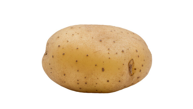Single raw potato with brown skin and dark spots, isolated on transparent background