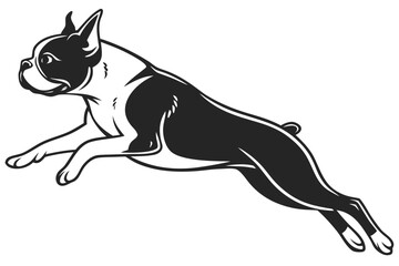 Fototapeta premium Jumping Boston Terrier Silhouette - Happy Leaping Dog Breed Vector Icon Isolated on White