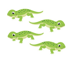 Fototapeta premium Group of cute green lizards