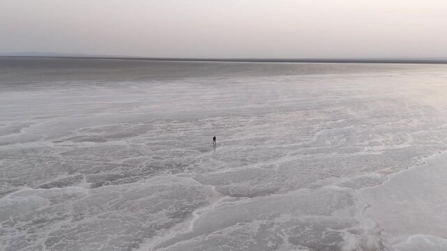 Aerial view of the Afar salt flats, capturing the stark beauty of mineral-rich terrain in the Danakil Depression. Person walking on the flats. Slow rotating drone shot.