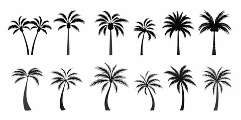 Obraz premium Collection of silhouetted palm trees in varying shapes and sizes