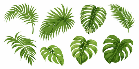 Collection of vibrant green tropical leaves on a white background © Dibyendu
