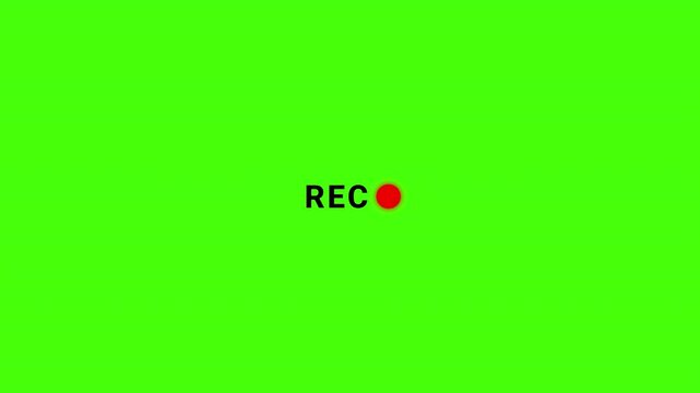 Recording Icon Button Animation green screen, REC frame icon animation, rec text camera recording icon blink animation, 4k video.