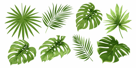 A collection of diverse tropical leaves against a white background © RanjanKumar