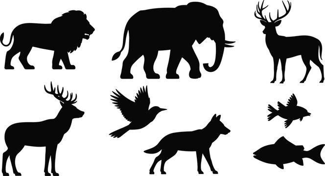 Animal silhouettes lion, elephant, deer, birds, wolf, fish, wildlife diversity, nature, forest, aquatic, vector illustration design
