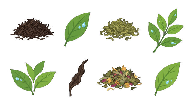 Different types of tea leaves and tea products arranged on a simple background