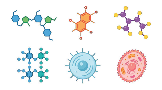 Colorful drawings of different molecules and cells on a white background showing various scientific concepts in biology and chemistry