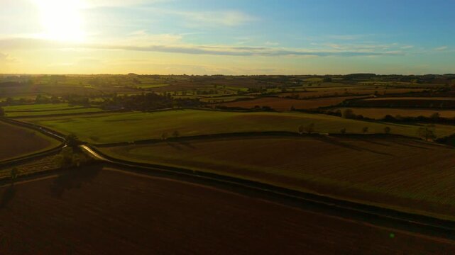 Producing bio feed on expansive farmland during eco friendly crop cultivation. Growing organic fodder across sustainable agricultural landscape supporting green farming. Cultivating environmentally