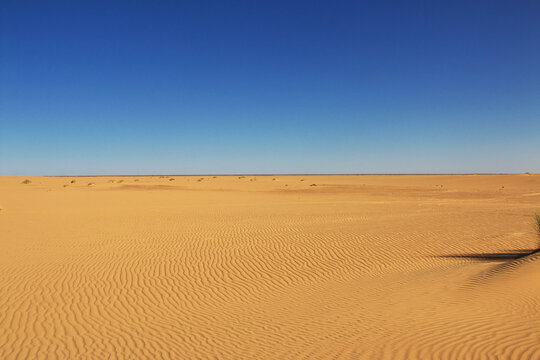 Nature of Sahara Desert, Mauritania, West Africa